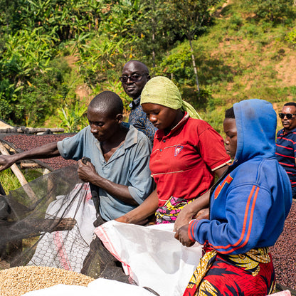 Roaster's Choice Coffee Subscription