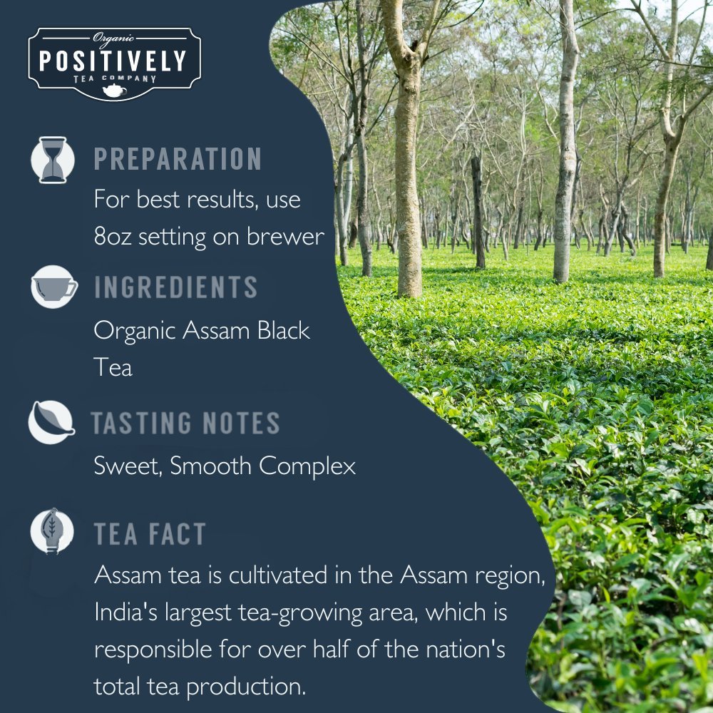 Organic Assam - Classic Tea Pods