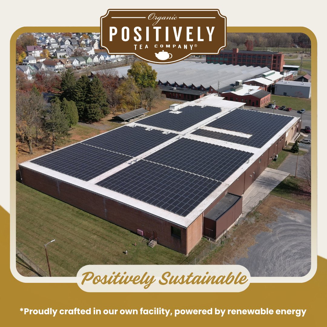 Organic Peach Oolong - Loose Leaf Tea