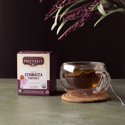 Organic Echinacea Purpurea - Botanical Tea Bags