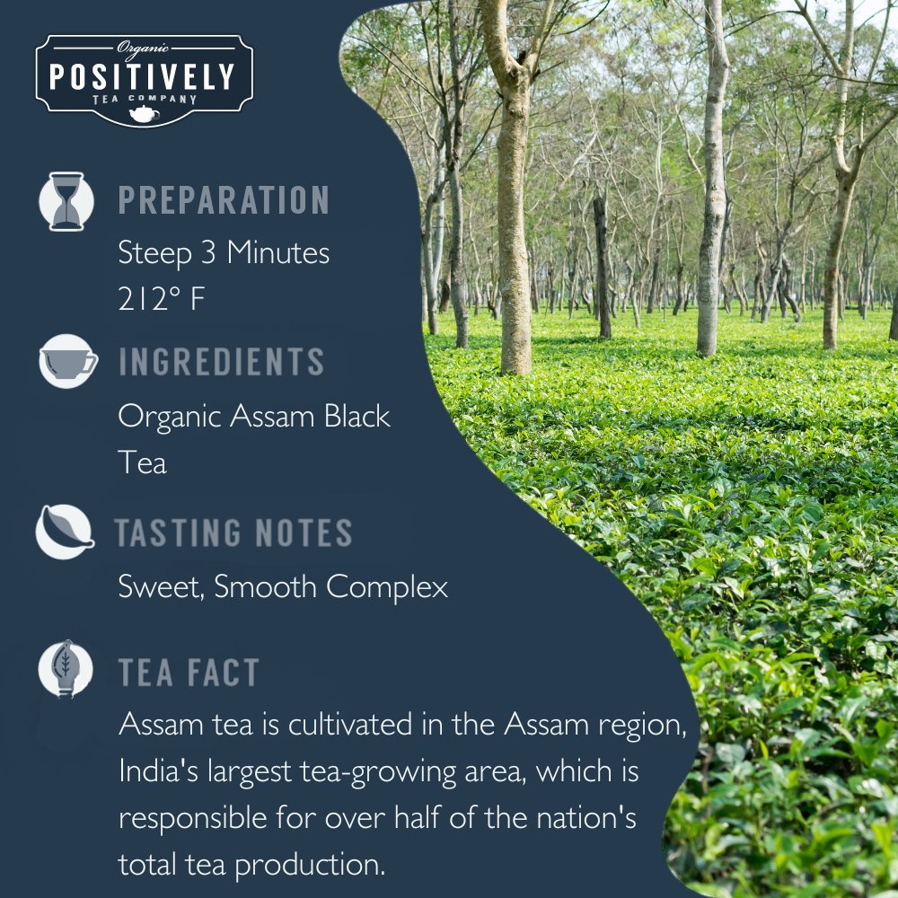 Organic Assam - Tea Bags