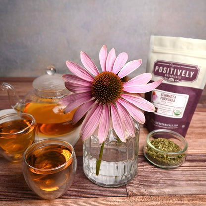 Organic Echinacea Purpurea - Loose Leaf Botanical