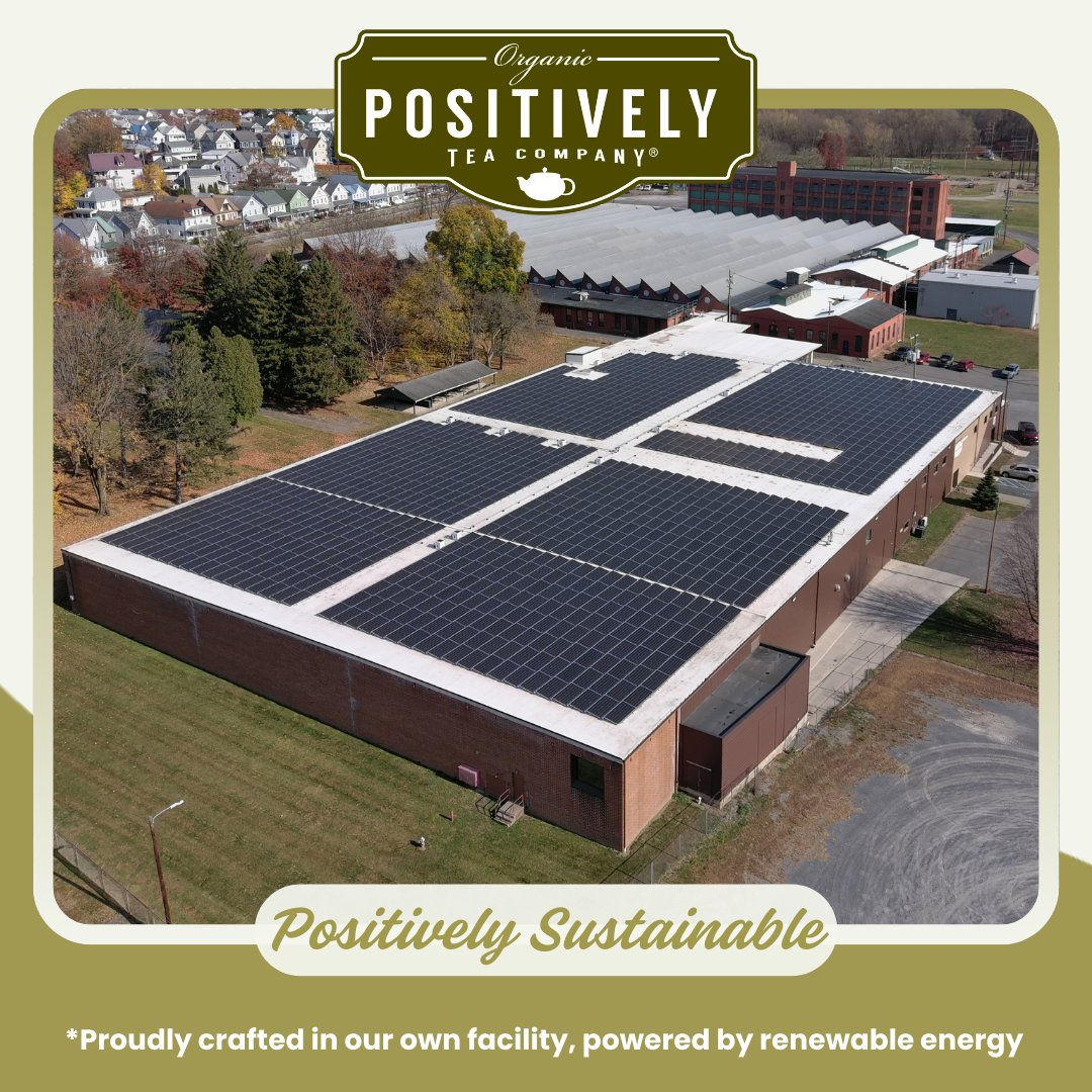 Organic Flora Mate - Loose Leaf Tea