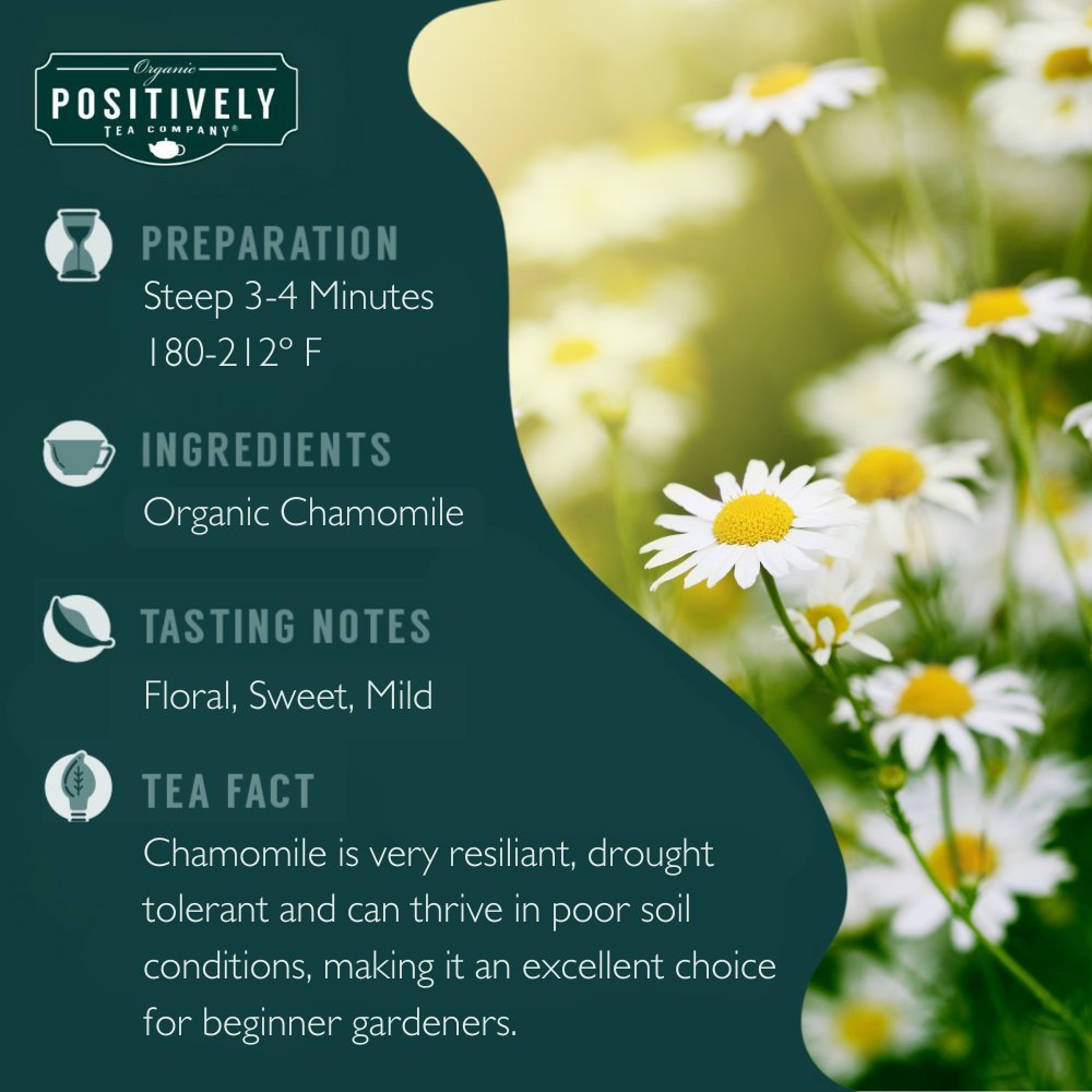 Organic Chamomile - Loose Leaf Tisane