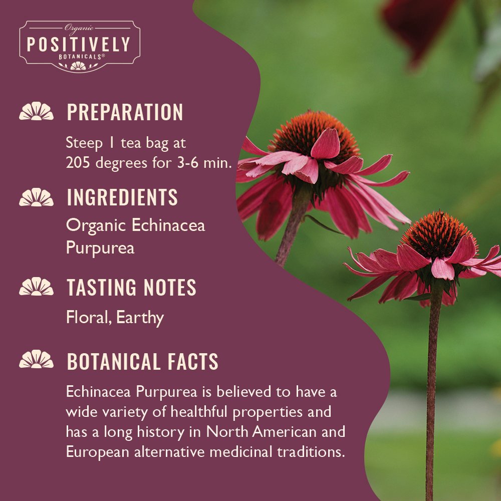 Organic Echinacea Purpurea - Botanical Tea Bags