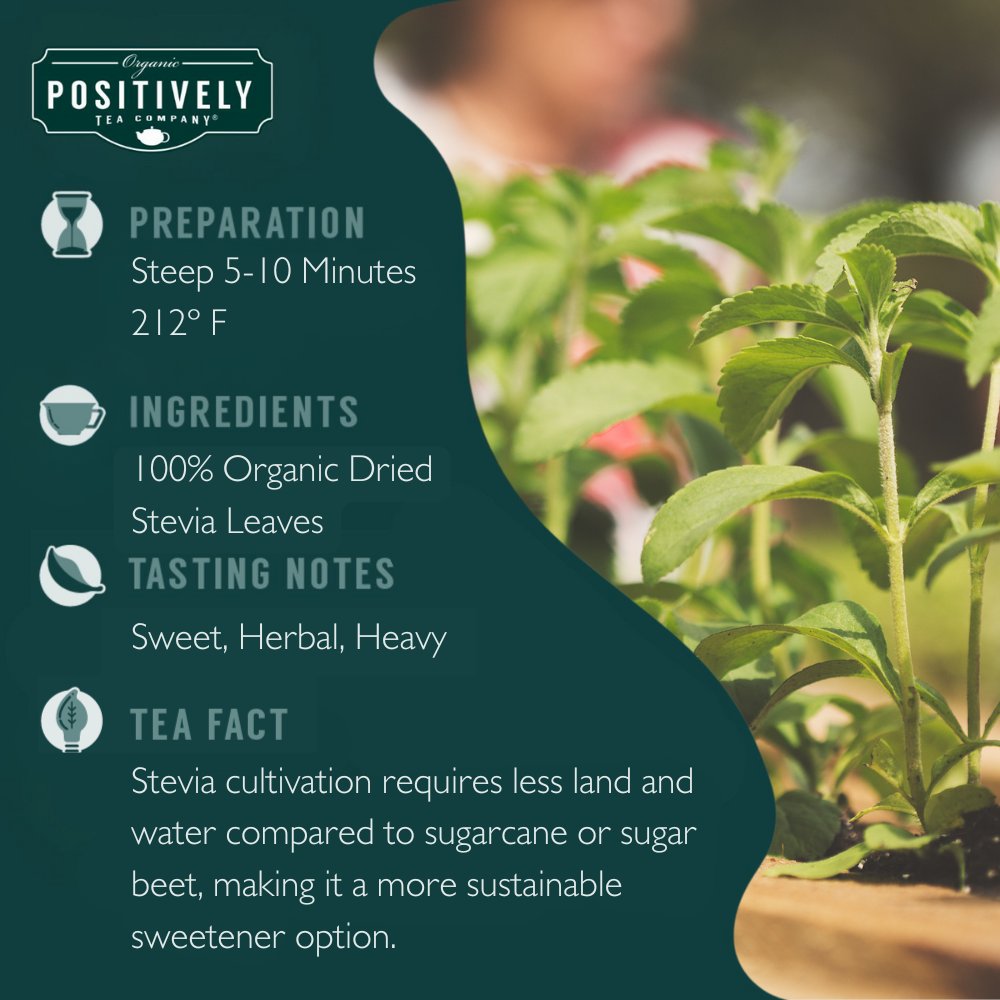 Organic Stevia Leaf Herbal - Loose Leaf Tisane